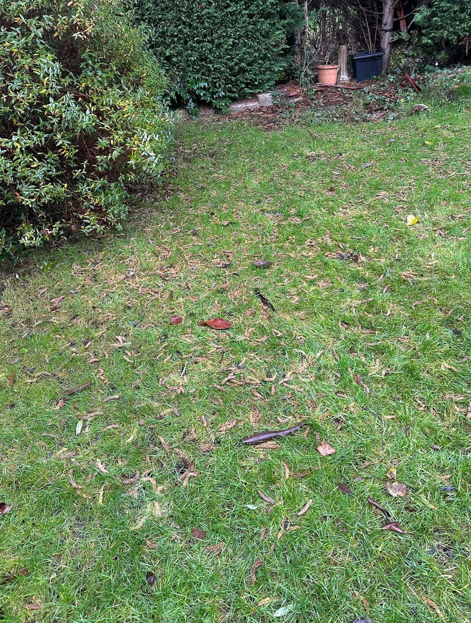 Residential basement cleanout in Newark NJ